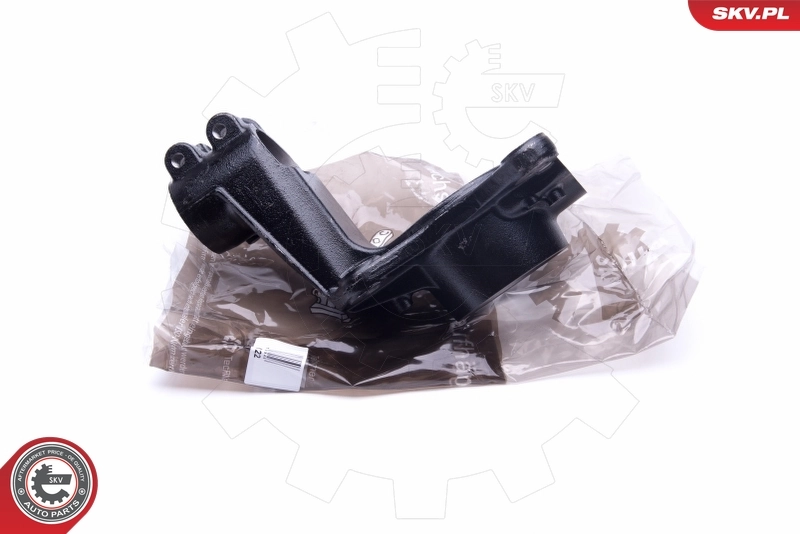 Steering Knuckle, wheel suspension